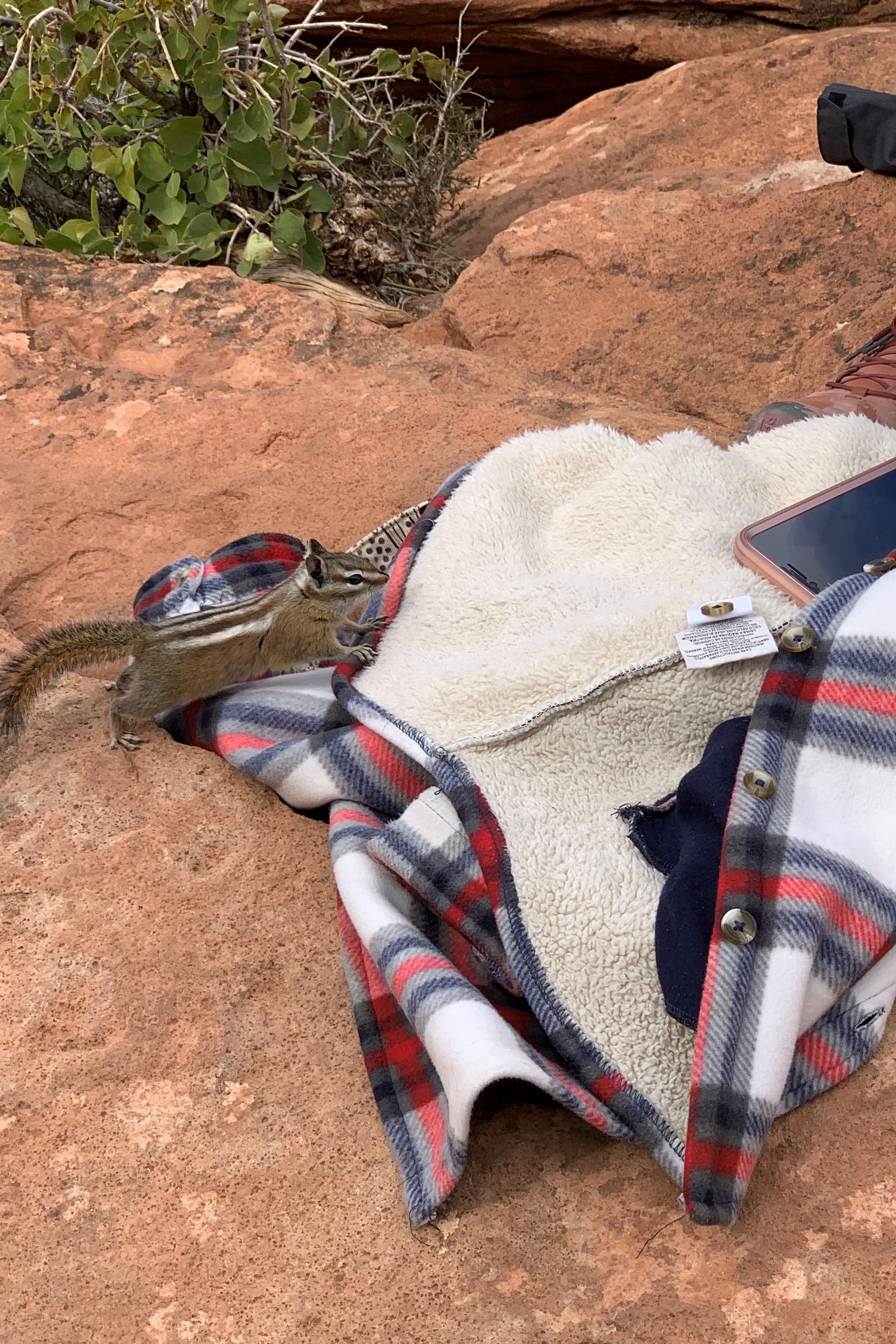 Zion NP